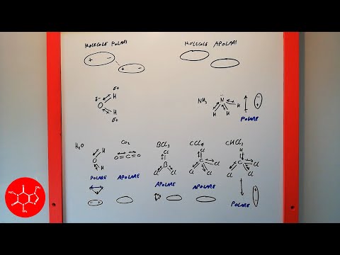 Video: Differenza Tra Legami Polari E Molecole Polari