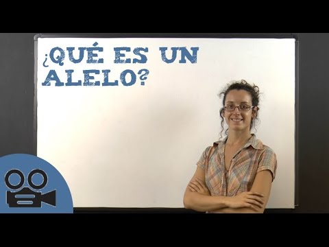 Qué es un alelo