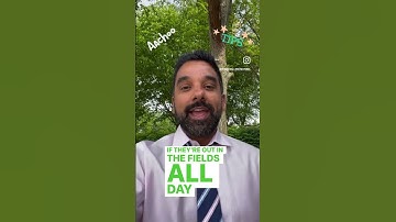 Why are Pollen Counts So High Right Now? - Premier Allergy & Asthma - Central Ohio