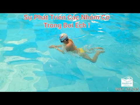 Video Bơi Ếch Phát Triển Cơ Nào - Sự Tác Động Của Kỹ Thuật... - YouTube