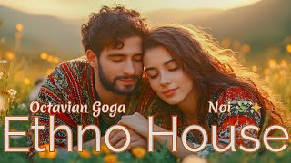 Noi – Ethno House Remix | Modern Romanian Folk Beats by AI