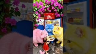 KASIH MAKAN KUCING LAGI AH