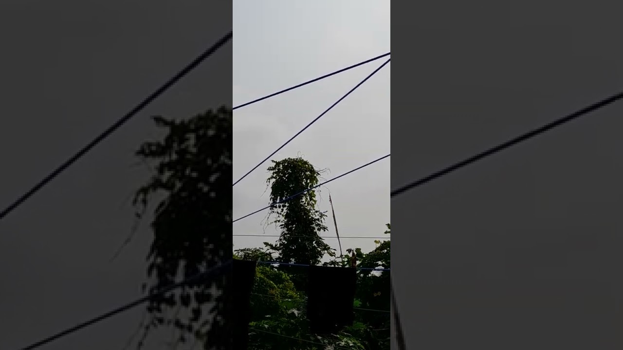 ऐ जिन्दगी गले लगाले  हमने तो तेरे हर एक गम को