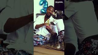 It’s my son’s birthday ❤️🐾🥰. #dog #puppy #doglover