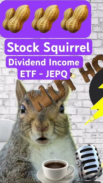 JEPQ Dividend Income ETF #JEPQ #stocks #dividendstocks #investing #