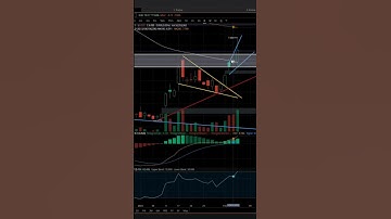 AMC Stock Is Bullish Here Is Why And Here Is What Is Next!