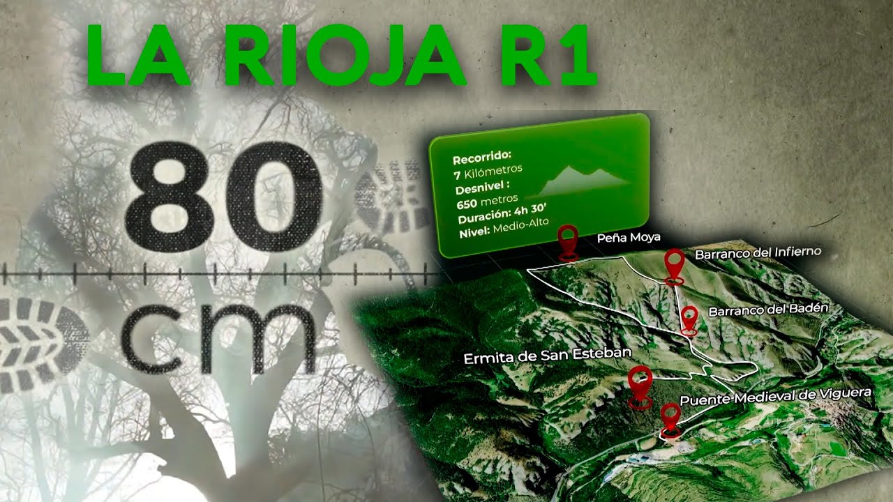 La Rioja, ruta 1 - 80 cm | La2