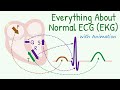 From basics of 12 lead ecg to how waves are produced everything about normal electrocardiogram