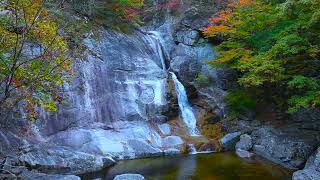 BEAUTIFUL Waterfall Relaxing sound. Positive &amp; relaxing music therapy