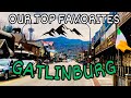 Travel vlog epi 13  a day in gatlinburg tn  our top favorite places to go in gatlinburg