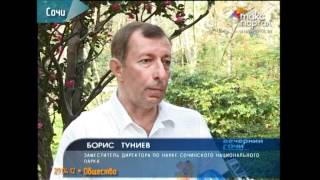 Сочинские земноводные и рептилии получили новый дом Сочинские земноводные и рептилии получили новый дом