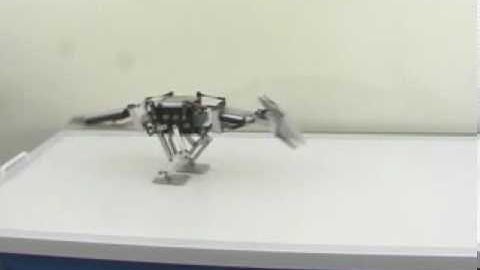 The dinosaur-like biped robot TITRUS-III