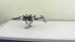 The dinosaur-like biped robot TITRUS-III