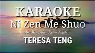 KARAOKE Ni Zen Me Shuo TERESA TENG