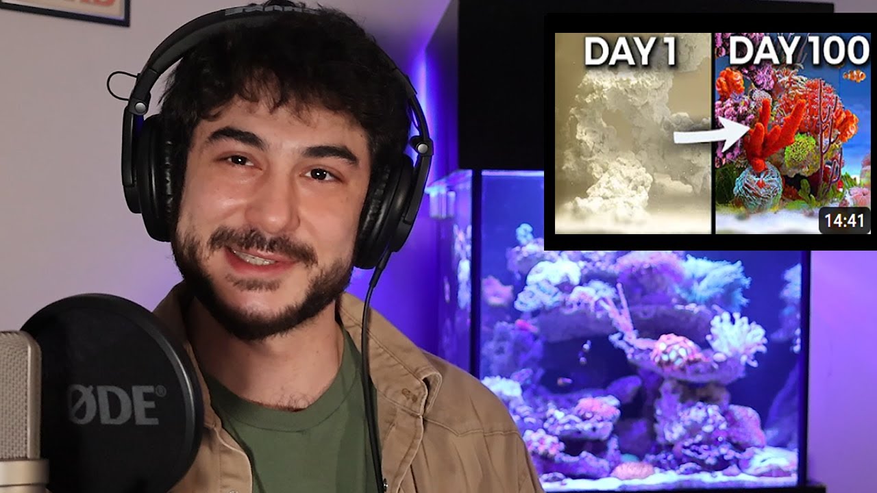 Aquarist Reacts to 