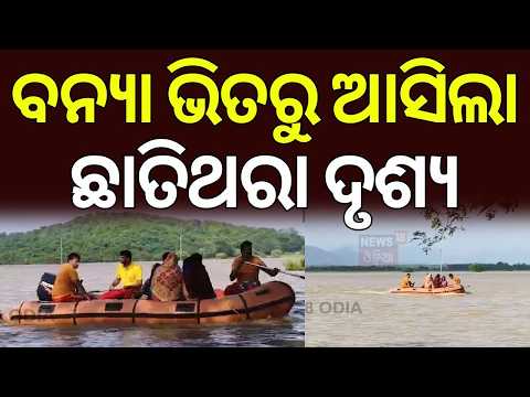 ବନ୍ୟା ଭିତରୁ ଛାତିଥରା ଦୃଶ୍ୟ! Nayagarh Flood Situation | Many Villages Still Cut Off| Odisha Flood News