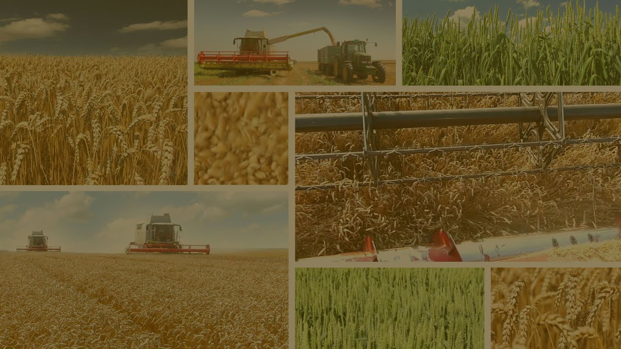 Understanding Precision Agriculture using Data and Analytics