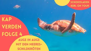Kapverden 🌞 4 🌞 São Vicente 🌞 Auge in Auge mit Meeresschildkröten