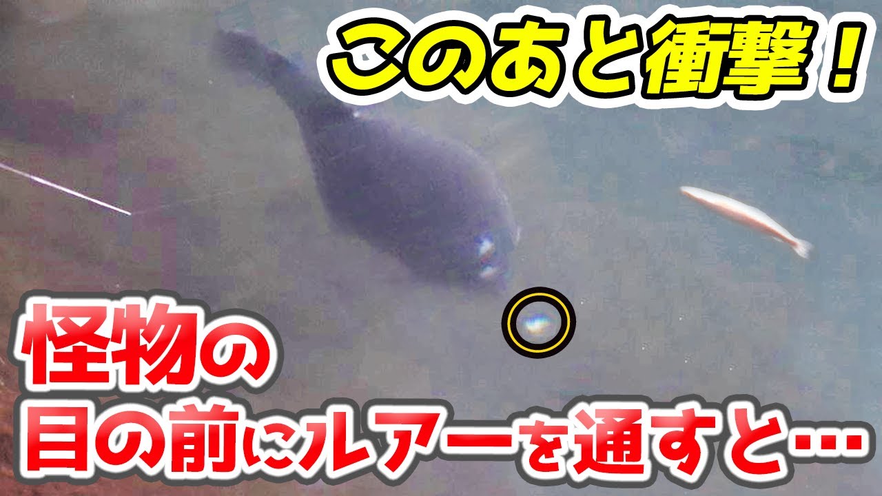 すそのFPの特大赤身ニジマスを狙って釣る方法を解説！【裾野フィッシングパーク・スーモン・エリアトラウト・管理釣り場】／HartDesign TV(ハートデザインTV) 【Vol.389】