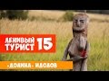 Ленивый Турист. «Долина» идолов. Выпуск 15