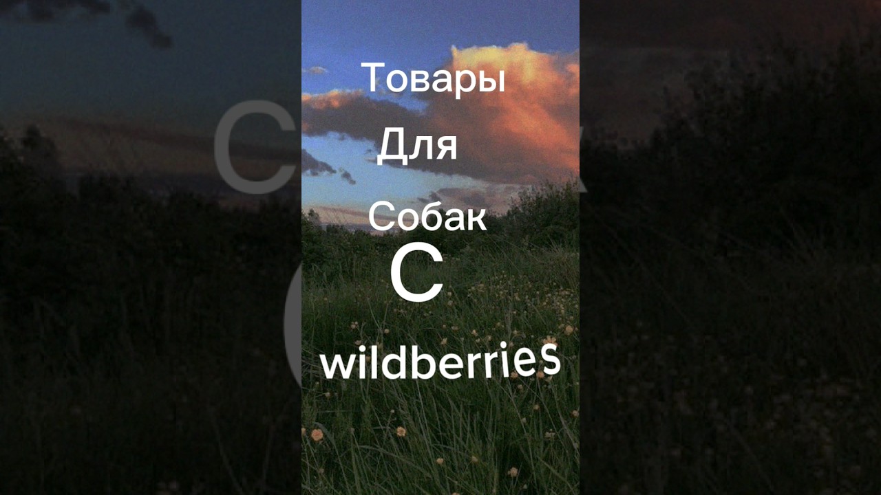 одежда wildberry для собак крупных пород