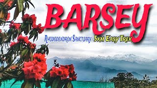 BARSEY - Rhododendron Sanctuary , West Sikkim Tour .Hilley Varsey Trek . @happytotravel1