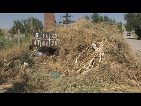 В Шымкенте кладбище зарастает мусором
