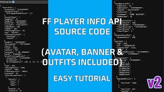 How to create your own Free Fire Player Info API Tutorial (v2) screenshot 2