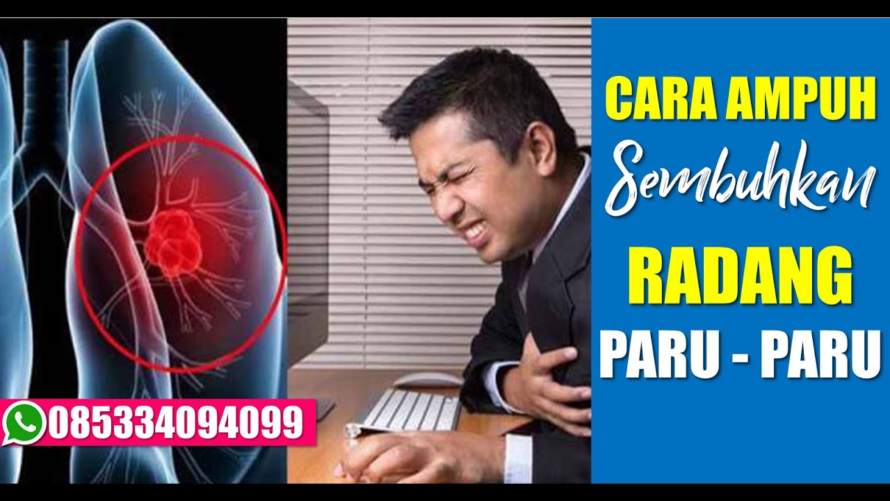 OBAT RADANG PARU - PARU TRADISIONAL || CARA MENGOBATI BATUK DAHAK
