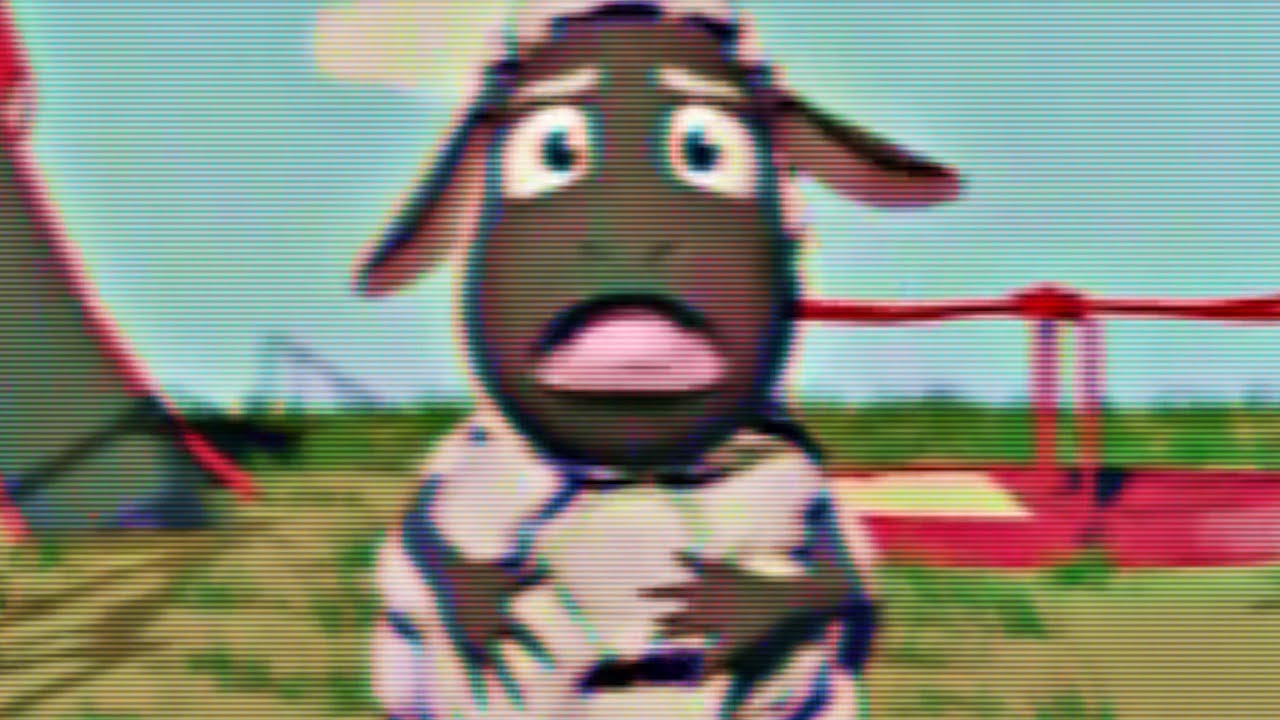 Dobrodruh Amanda🐑