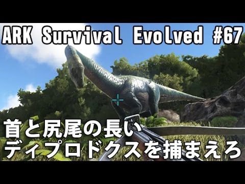 首と尻尾の長いディプロドクスを捕まえろ Ark Survival Evolved 実況 67 Youtube