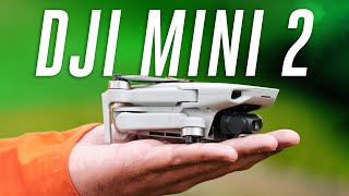 DJI Mini 2 review: the best drone under $500 - The Verge