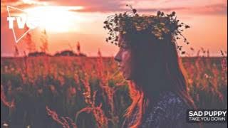 Sad Puppy - Take You Down