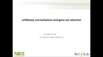 03 Normalisation — 03 Cell Cycle Scoring