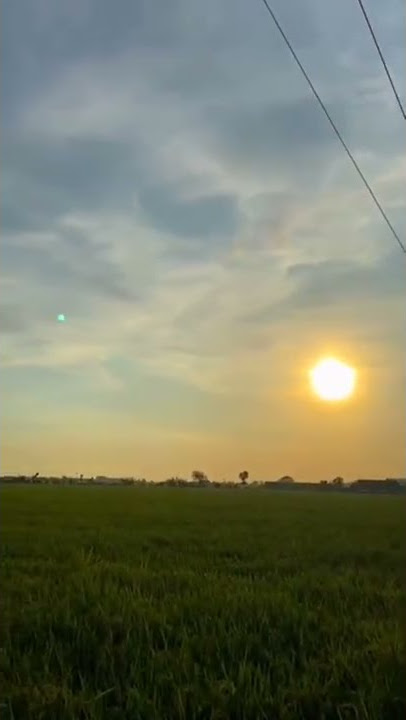 VIDIO STORY WA || LAGU RONDO KEMPLING JAWA || VIRAL TERBARU