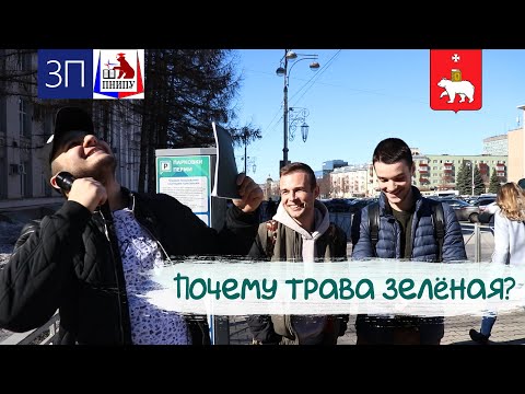 Video: Patiesība Par 