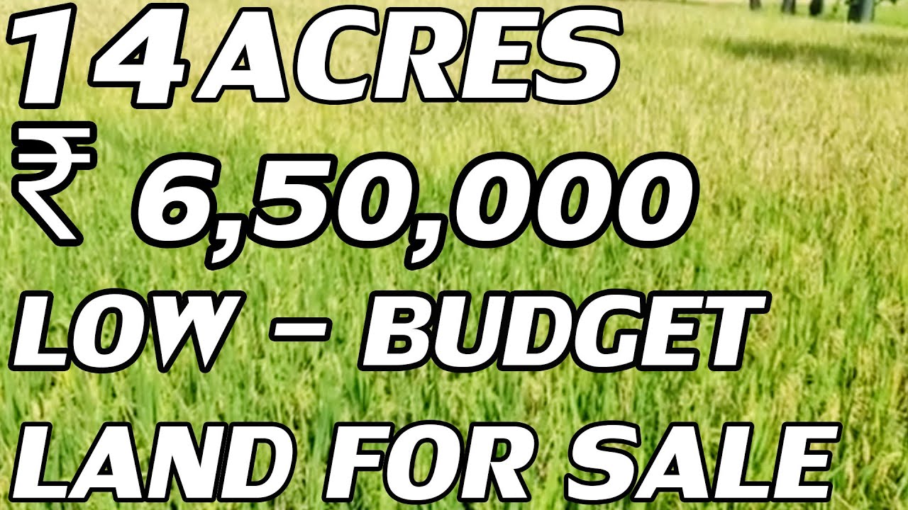 14 ACRES LAND FOR SALE LOW BUDGET PROPERTY FOR SALE ₹ 6,50,000