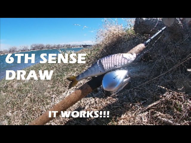 The 6th Sense Draw Gets BIT!!! Bank Fishing With A 9 Glide Bait 