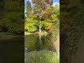 Autumn magic in Queenstown 🍁 #naturetranquility #newzealand #naturesounds #asmr