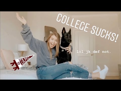 What to expect your first semester of college! | Blinn/Texas A&M