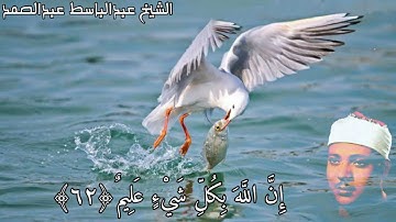 الشيخ عبدالباسط عبدالصمد{الله يبسط الرزق لمن يشاء من عباده} آيات الرزق ♡♡  آية(٦٢)من سورة العنكبوت ○