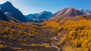 видео: Золотая осень на озере Маашей. Каракабакские озера. Алтай 2020 картинка: Золотая осень на озере Маашей. Каракабакские озера. Алтай 2020
