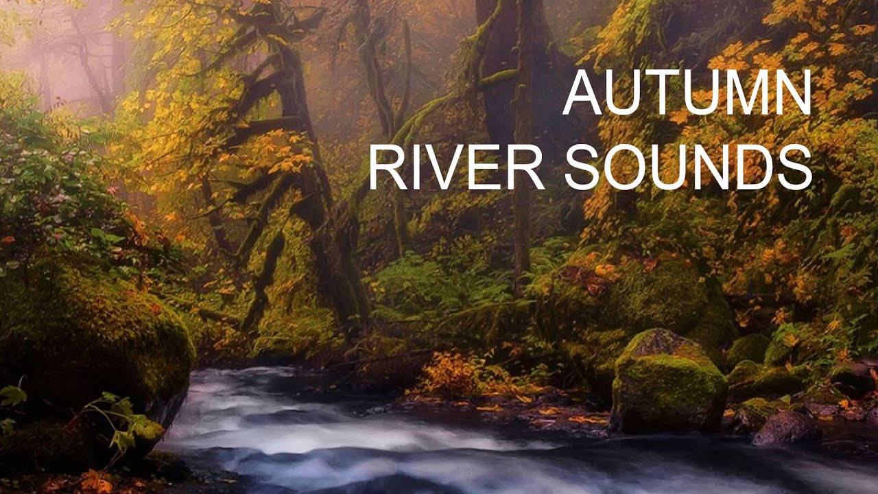 Autumn River Sounds - Fall Asleep & Stay Sleeping - Relaxing Sounds and ...