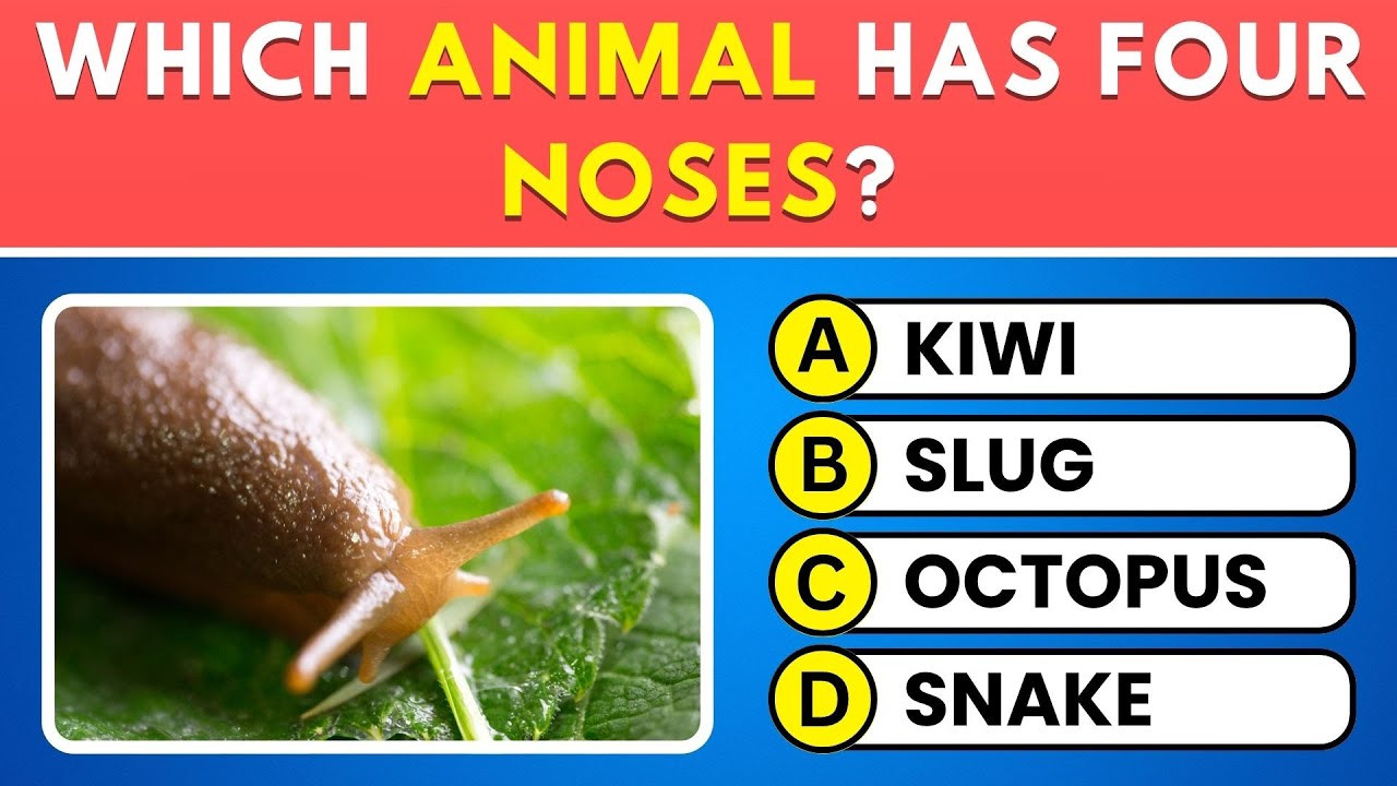 Can You Pass This Animal Quiz? 🦁 50 Fun Trivia Questions!