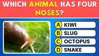 Can You Pass This Animal Quiz? 🦁 50 Fun Trivia Questions! screenshot 4