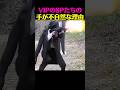 VIPを護衛するSPたちの 手が不自然な理由