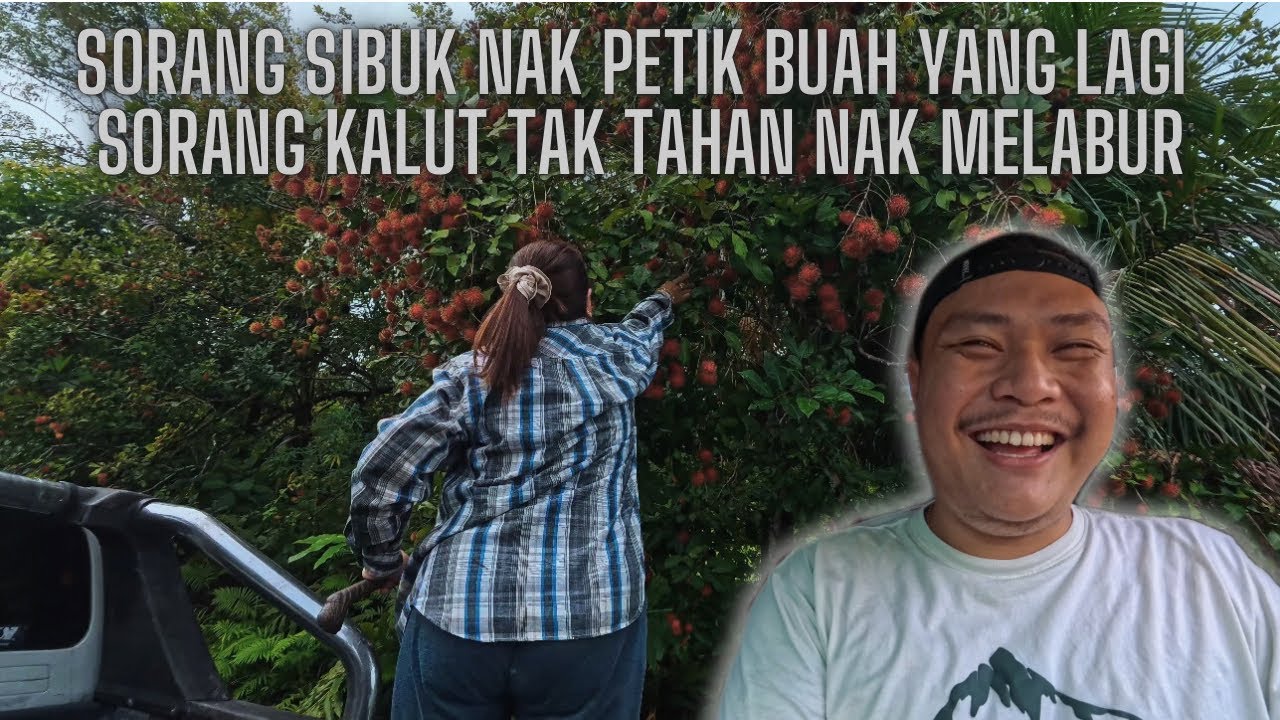 Sorang Sibuk Petik Buah, Sorang Lagi Kalut Nak Melabur. Gelagat Inik Rich & Anak Bongsu