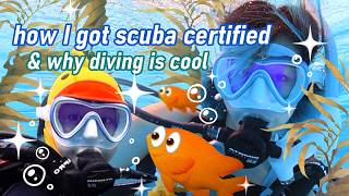 dappa shows you scuba diving
