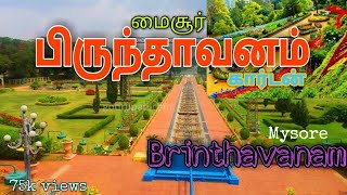 Mysore Brindhavanam garden || karnataka tourist places | பிருந்தாவனம் மைசூர்