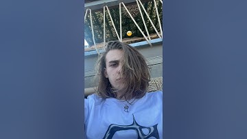 OSCAR-cate sute ai?  (snippet)